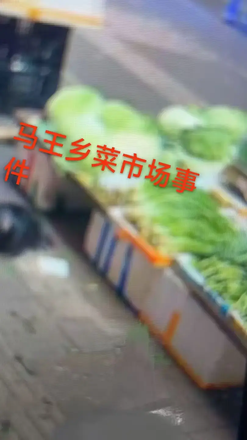 《重庆马王乡菜市场事件》完整版一手视频来袭！1080P高清播放无卡顿，附关键节点时间标记，重庆马王乡菜市场事件全知晓！