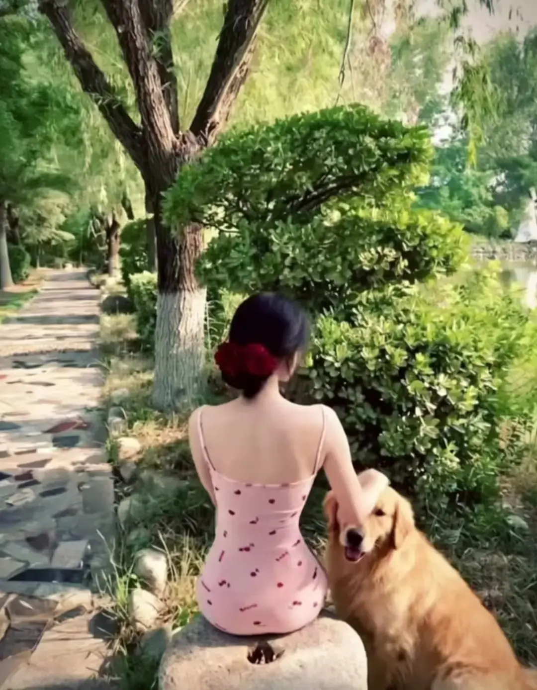 《香香公主与金毛爱犬》流畅不卡顿在线观看，三集连播见证香香公主与金毛爱犬的跨物种深情，体会暖心羁绊中的情感形态！ 