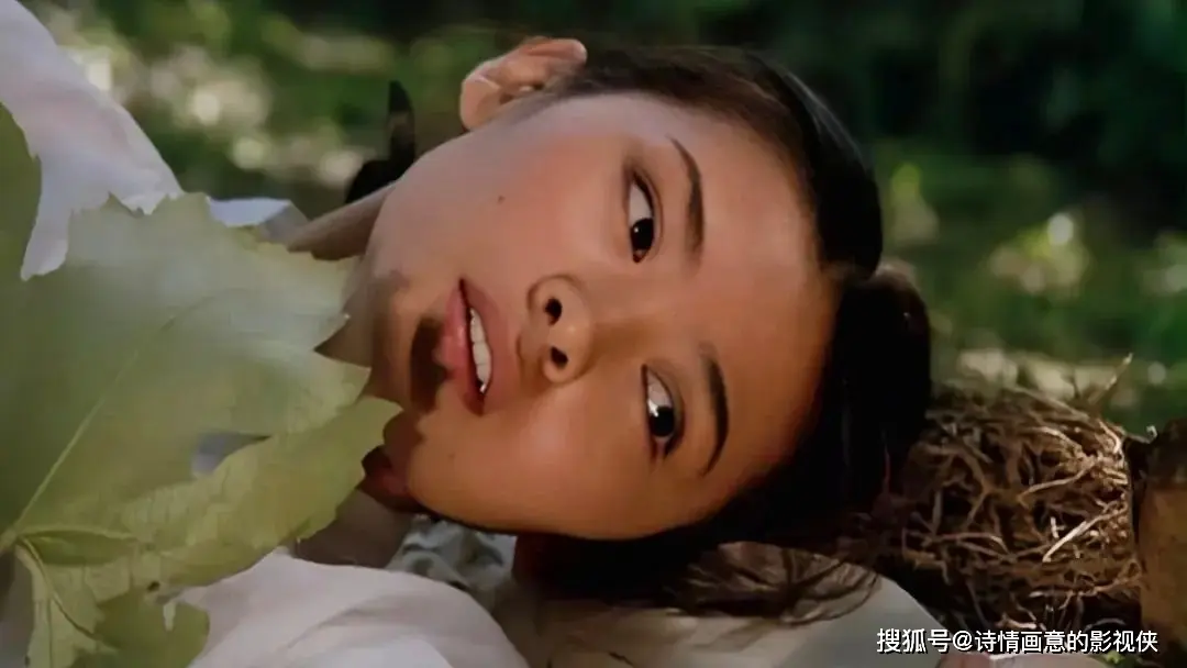 《桑叶》