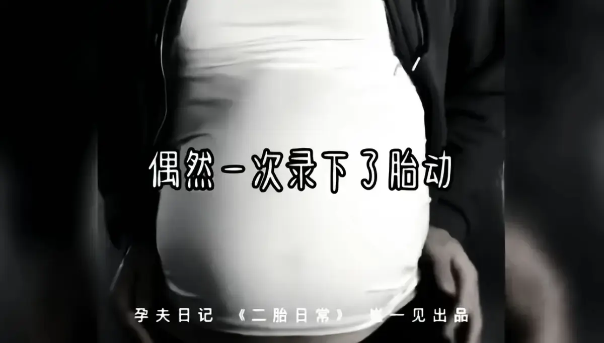 2026爆火全网《崔一见孕夫日记》无删减原版在线播放，全系列1 - 4集高清完整版免费看，真实记录崔一见孕夫日记