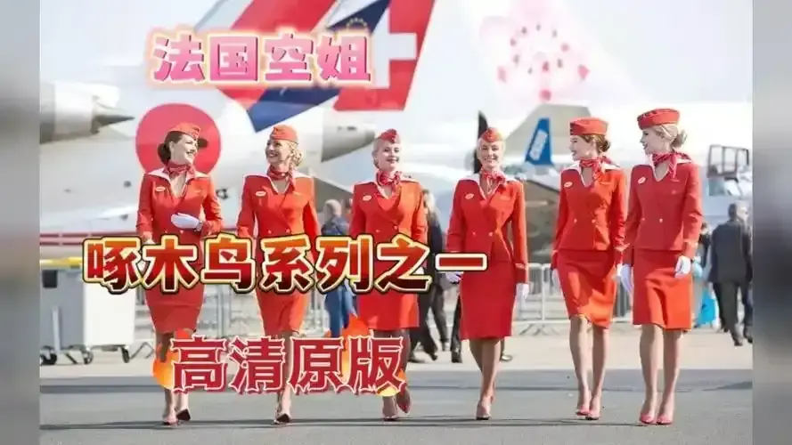 法国经典电影《法国空姐/私人航空/不雅空乘》1080P高清免费在线观看-完整版《法国空姐》无删减在线播放-《法国空姐》流畅不卡顿免费看