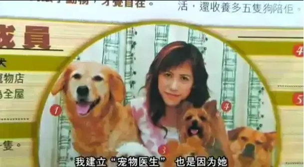免费播放欧美电影《女人与狗》，中字全片无删减-《女人与狗》高清画质在线，1080P超清观影-网盘资源随时下载