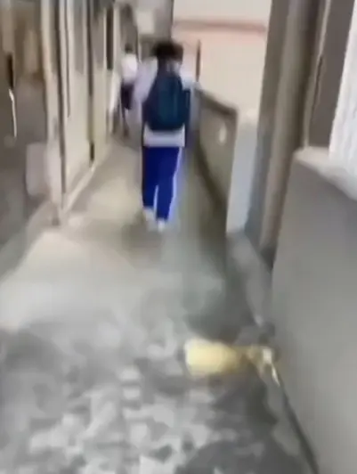 免费看《大昌市第七中学》教室走廊诡异身影，4K超高清不卡顿，同步揭秘《大昌市第七中学》绝密调查档案，别错过！