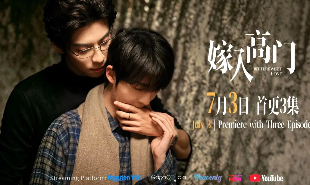 2026新剧双男主爱情剧《嫁入高门的男人》22集全季4K蓝光免费在线看 - 《嫁入高门的男人》最新同步更新