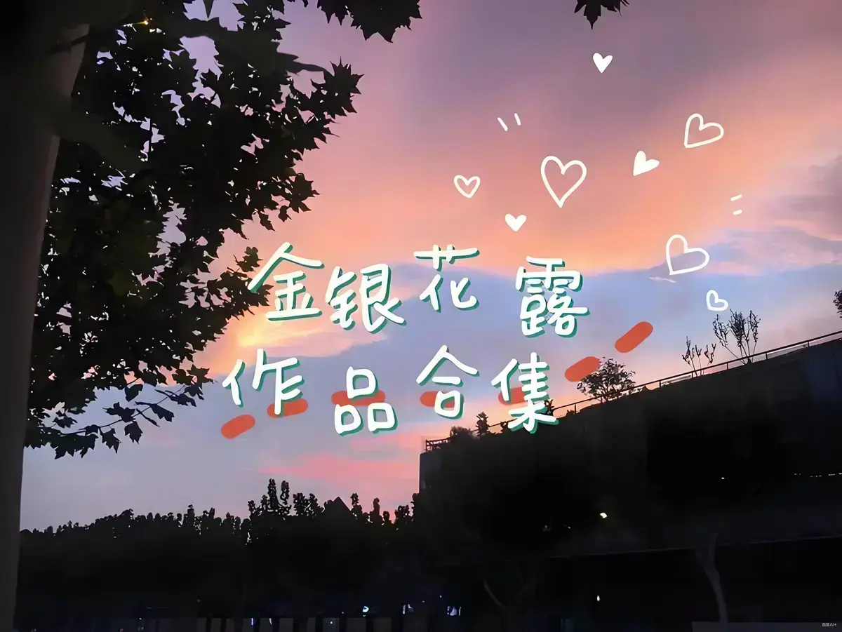 《金银花露的所有书》1080P高清播放 - 乐可故事扣人心弦 - 困苦人生路引人深思 - 厕所片段超刺激