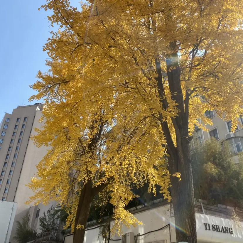 《silk_labo系列》浪漫感官典藏合集，女性向1080P全集免费看，百度网盘资源持续有效